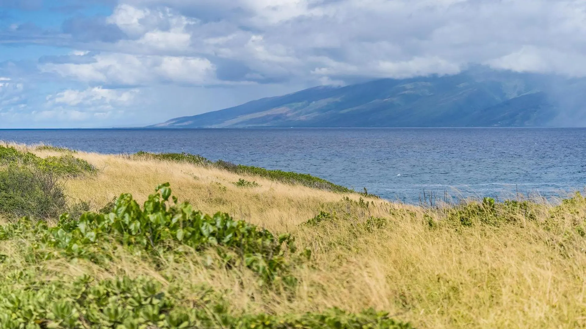 Kapalua Bay Villas 33B1 Kahana